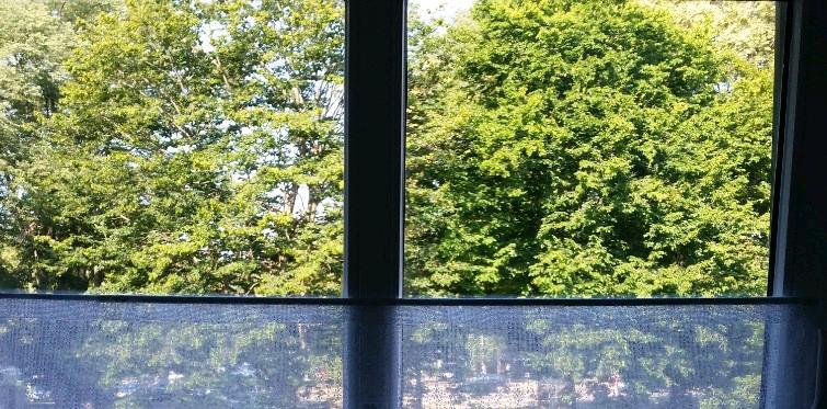 Thumbnail-Sinzig 2 Zim. im Grünen