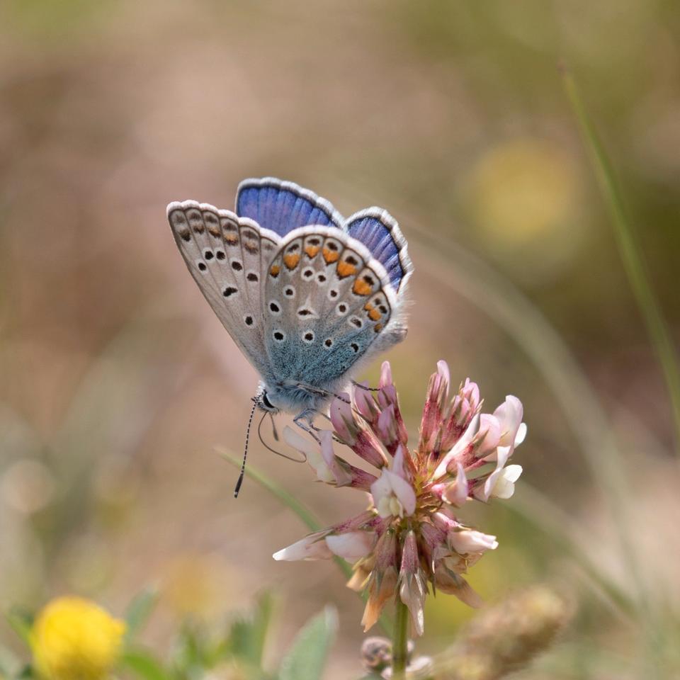 Thumbnail-Schöne 3-Zimmerwohnung