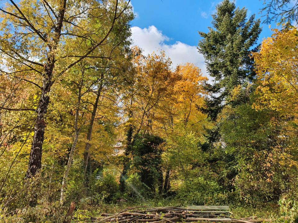 Thumbnail-ruhig und sonnig gelegenes Einfamilienhaus mit großem Garten