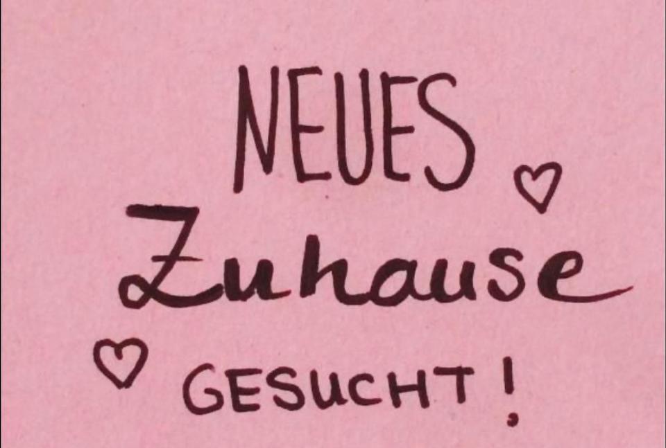 Thumbnail-2 Zimmer Wohnung für ältere Dame