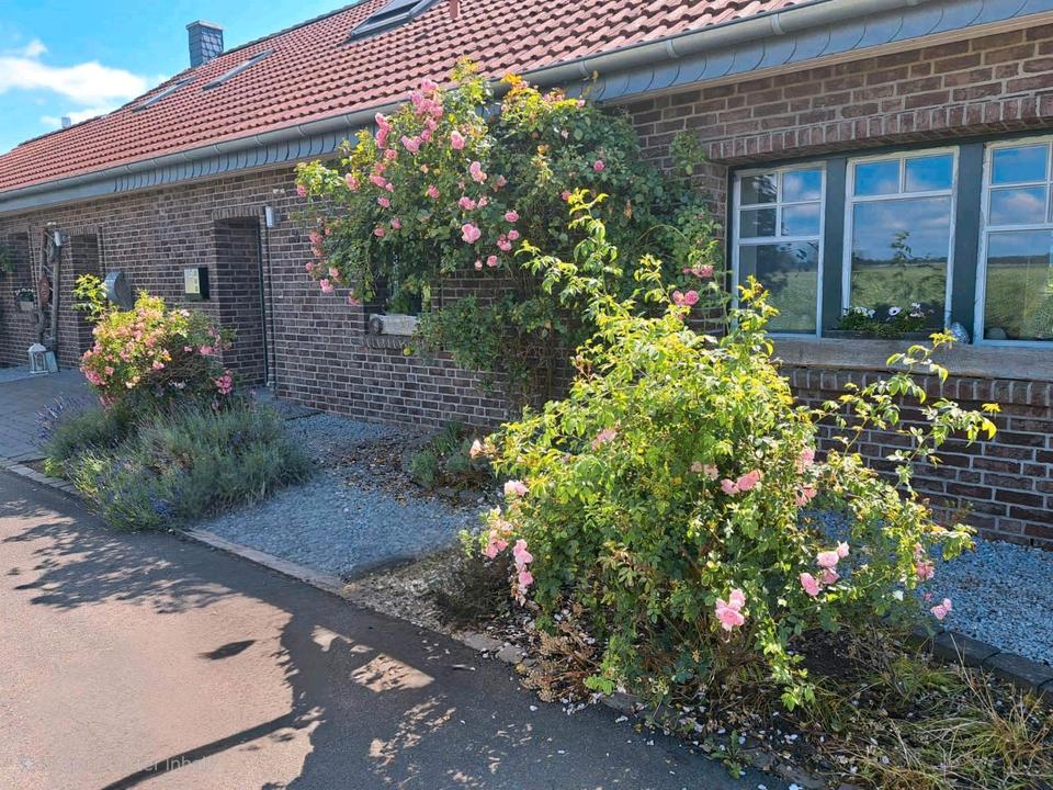 Thumbnail-Ferienwohnung Kerken, idyllischer Urlaub auf dem Land,Niederrhein