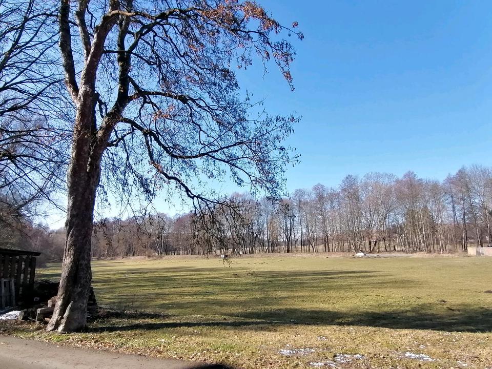 Thumbnail-Praxis oder Büroräume direkt am Park in Schleiz