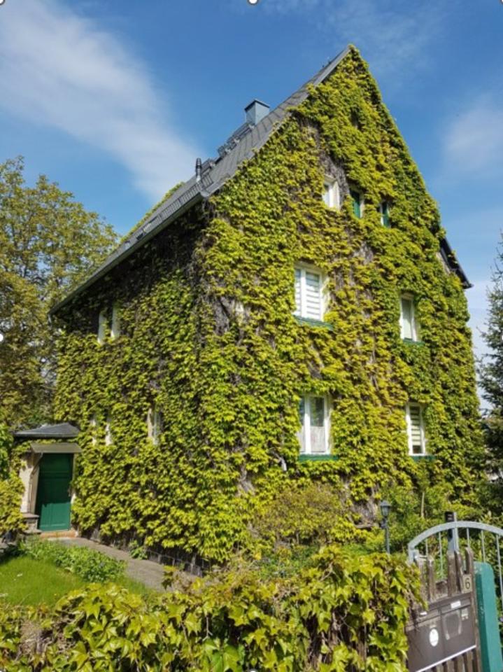 Thumbnail-Haus für Großfamilie in Limbach-Oberfrohna am Stadtpark