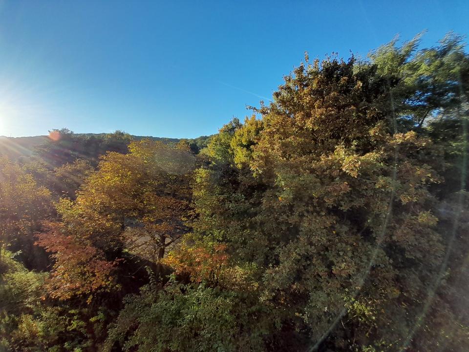 Thumbnail-1-Zimmer Appartement mit Blick ins Grüne