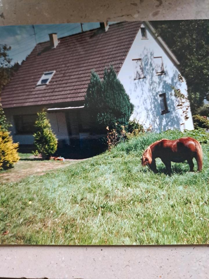 Thumbnail-Haus Immobilie Wohnhaus