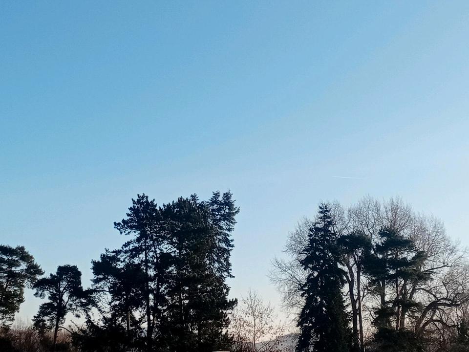 Thumbnail-3ZKB in Top-Lage mitten in der Natur; Lorsch