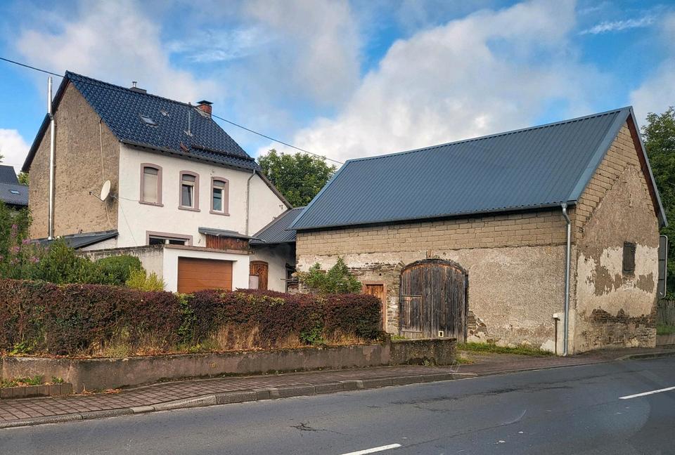 Thumbnail-Einfamilienhaus mit großem Garten und Nebengebäuden