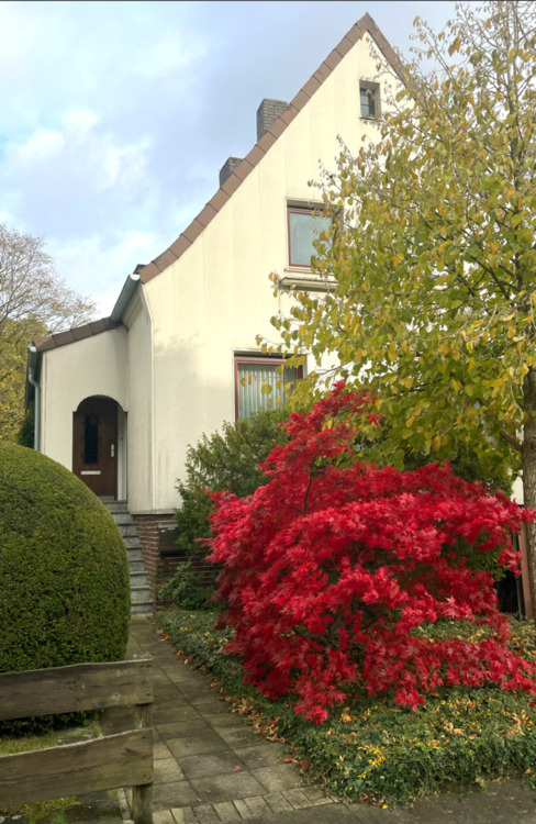 Thumbnail-Charmantes Haus in der Heidesiedlung - ein Zuhause in bester Lage