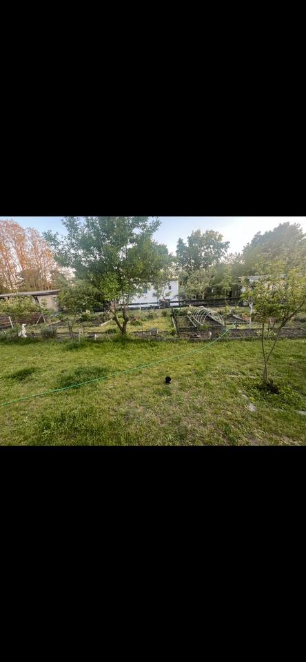 Thumbnail-Garten Garten