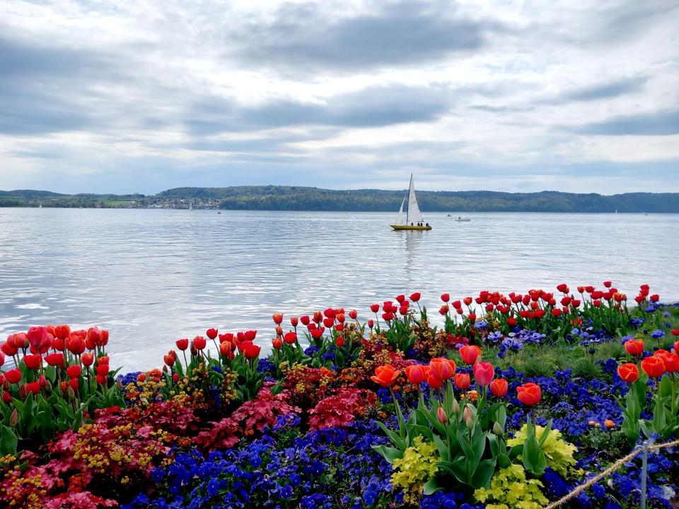 Thumbnail-Kleine Ferienwohnung in ÜberlingenBodensee zu vermieten