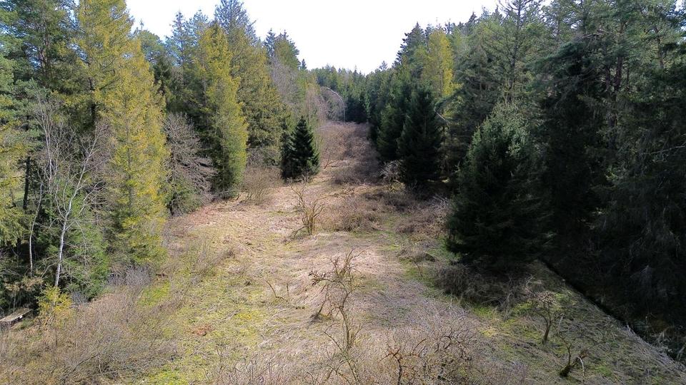 Thumbnail-Landwirtschaftliche Fläche (Wald und Wiese) ca. 8,081 m²