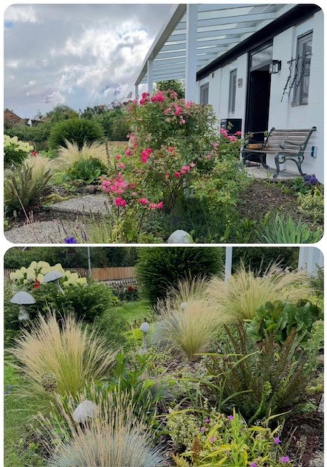 Thumbnail-Modernisiertes Familienparadies in Burgdorf-Weststadt