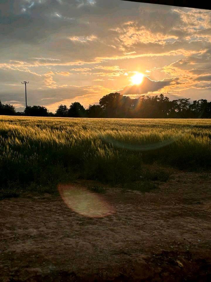 Thumbnail-6-Zimmer Wohnung, Wohnen am Ortsrand, große Erdgeschoss-Wohnung