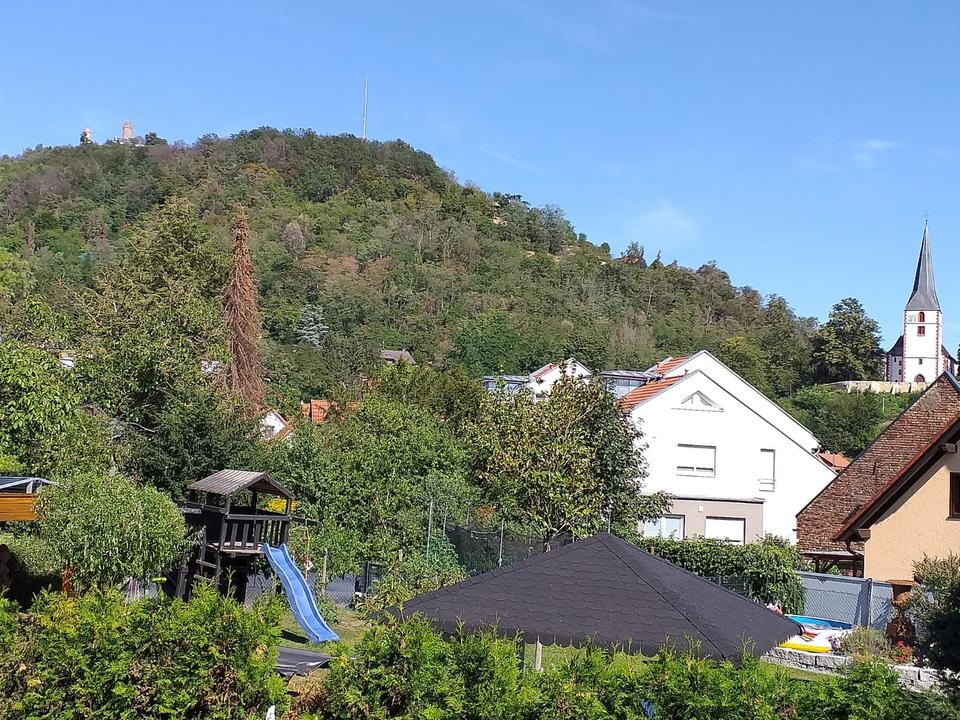 Thumbnail-Blick aufs Auerbacher Schloss: 3,5-Zimmer-Wohnung in Auerbach