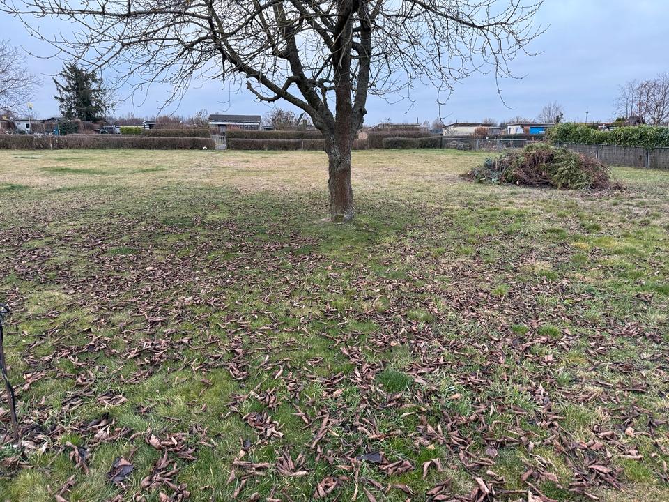 Thumbnail-Kleingarten