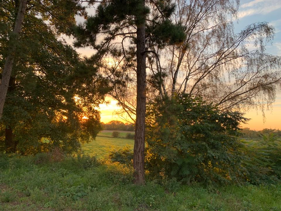 Thumbnail-1000m² Haus Halle Hobby Gewerbe Tierhaltung 7000m² Grundstück