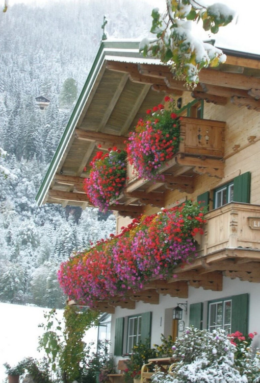 Thumbnail-Sonnige Dachgeschosswohnung, Freizeitwohnsitz in Kitzbühel Tirol