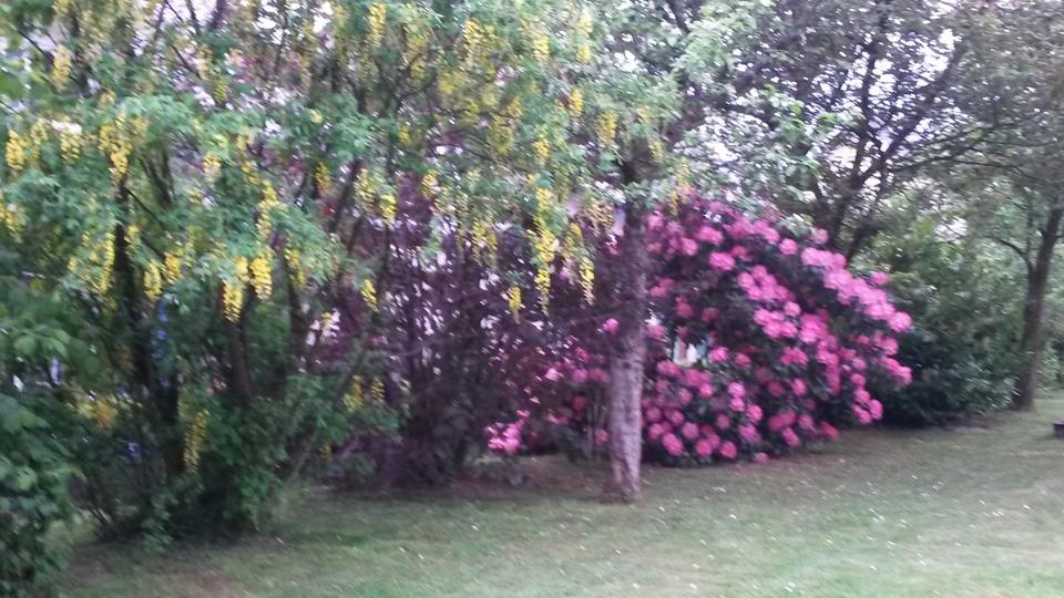 Thumbnail-3-Zimmer Wohnung in Marienheide-Rodt