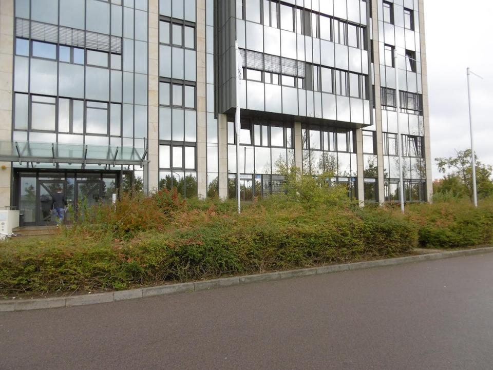 Thumbnail-Der Preis-Leistungs-Sieger im Sachsen Park; Top-Büro 8,59€m²kalt