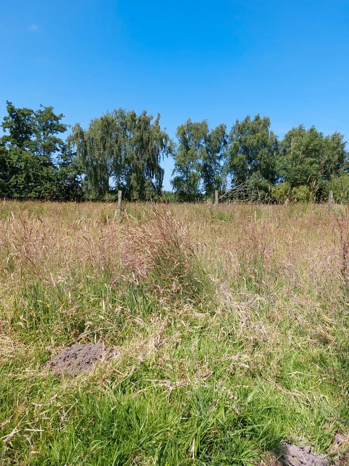 Thumbnail-Grundstück mit Altbestand -provisionsfrei-