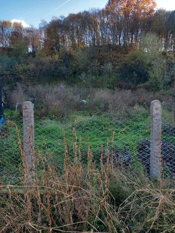 Thumbnail-Haus in Rumänien zu verkaufen