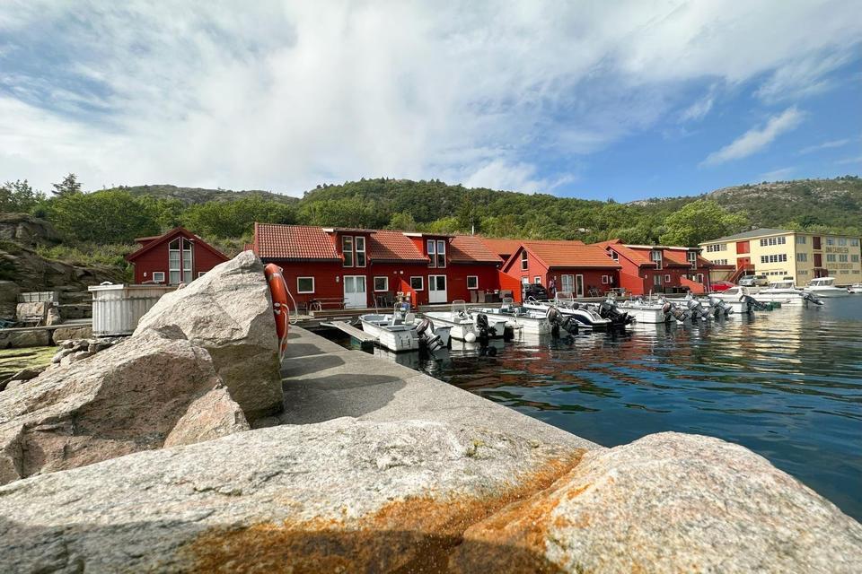 Thumbnail-Ferienwohnung Südnorwegen direkt am Fjord - Boot inkl. - Sauna