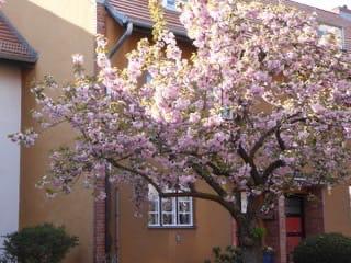 Thumbnail-Wohnen im Unesco Welterbe