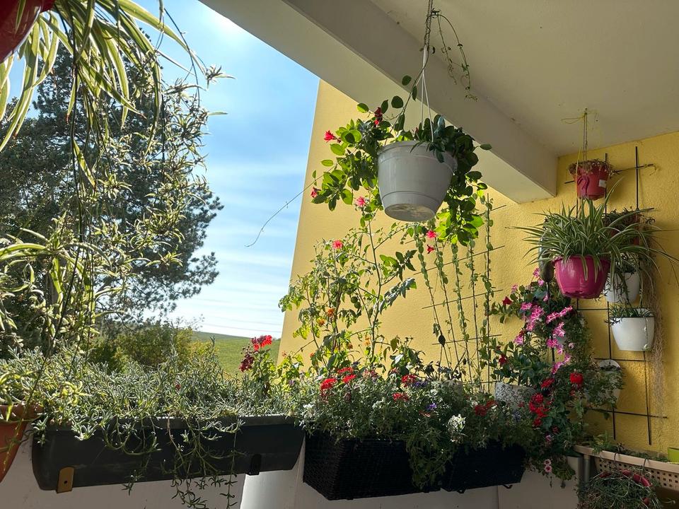 Thumbnail-Wunderschöne 4,5 Zimmer Wohnung mit Balkon mit Blick ins Grüne