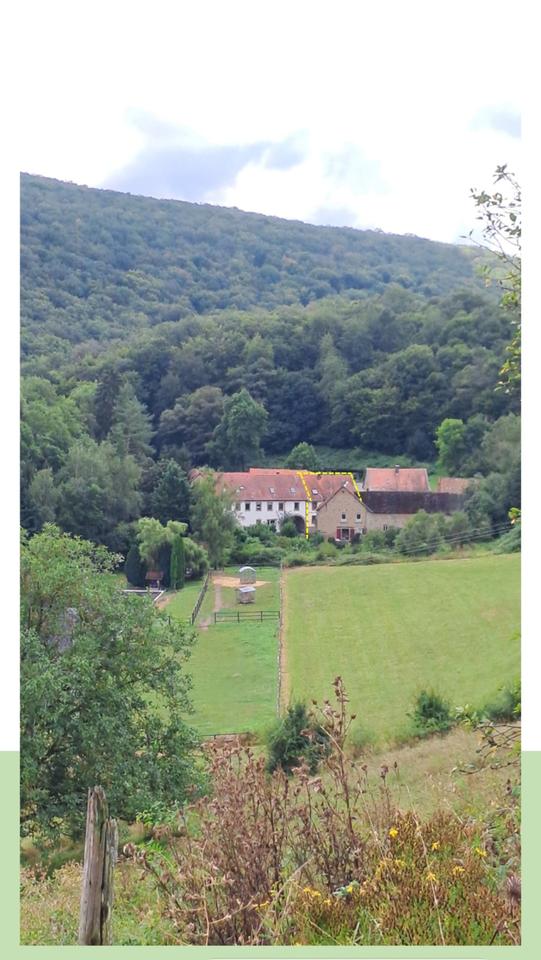 Thumbnail-Leben in der Natur; Frei ab Dez.2025