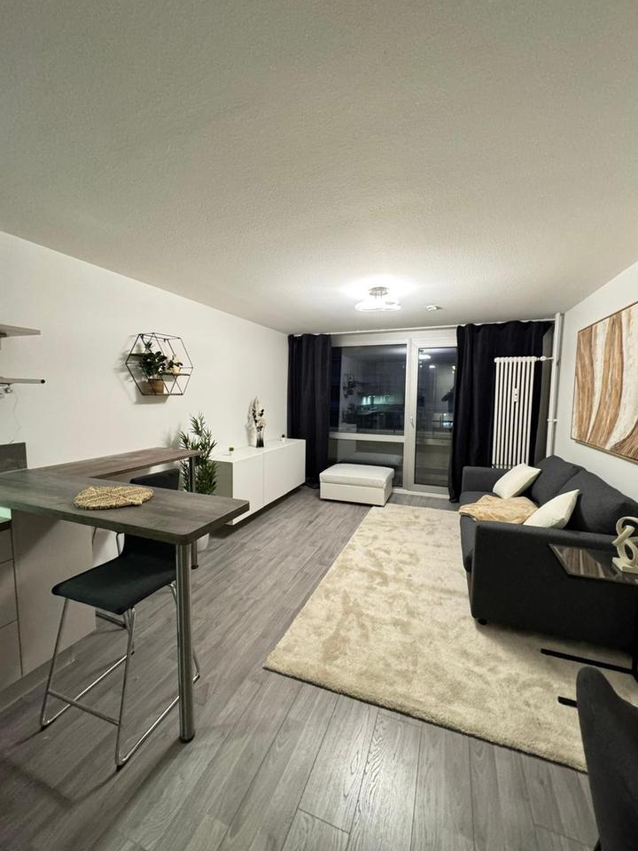 Thumbnail-kernsaniertes 1-Zimmer-Apartment