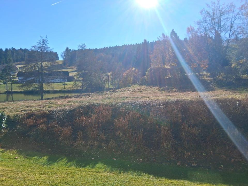 Thumbnail-schöne 2 Zimmer Wohnung am See, in Herrischried