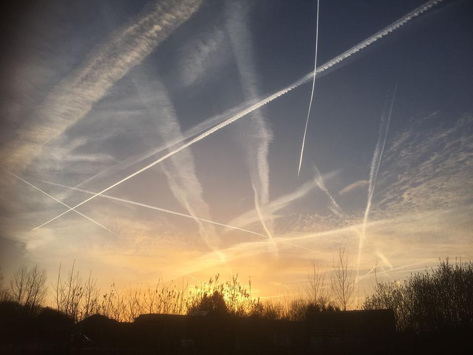 Thumbnail-WohngemeinschaftFrauen-WG in ruhigem Speckgürtel von Wiedenbrück