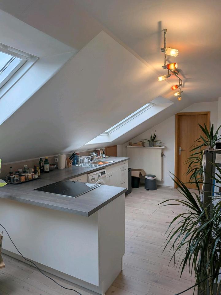 Thumbnail-50 qm Wohnung in Siegen Trupbach zu vermieten