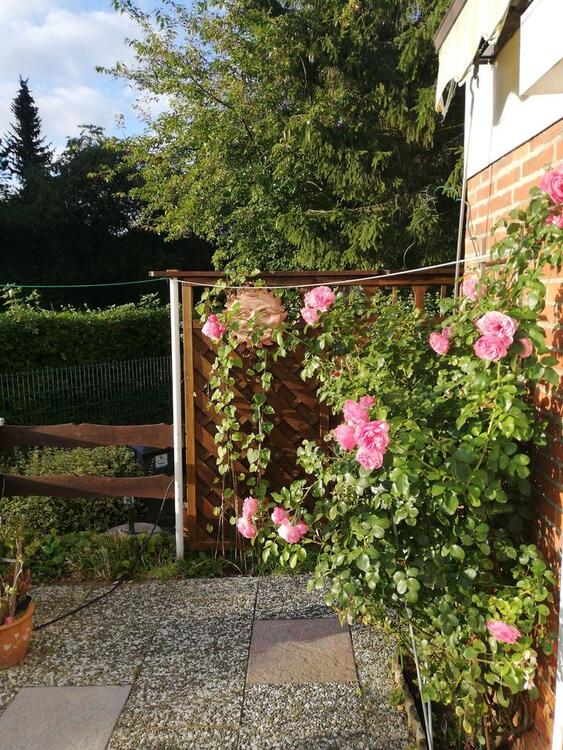 Thumbnail-R.Haus, ruhige Lage, 2-3 Jahre