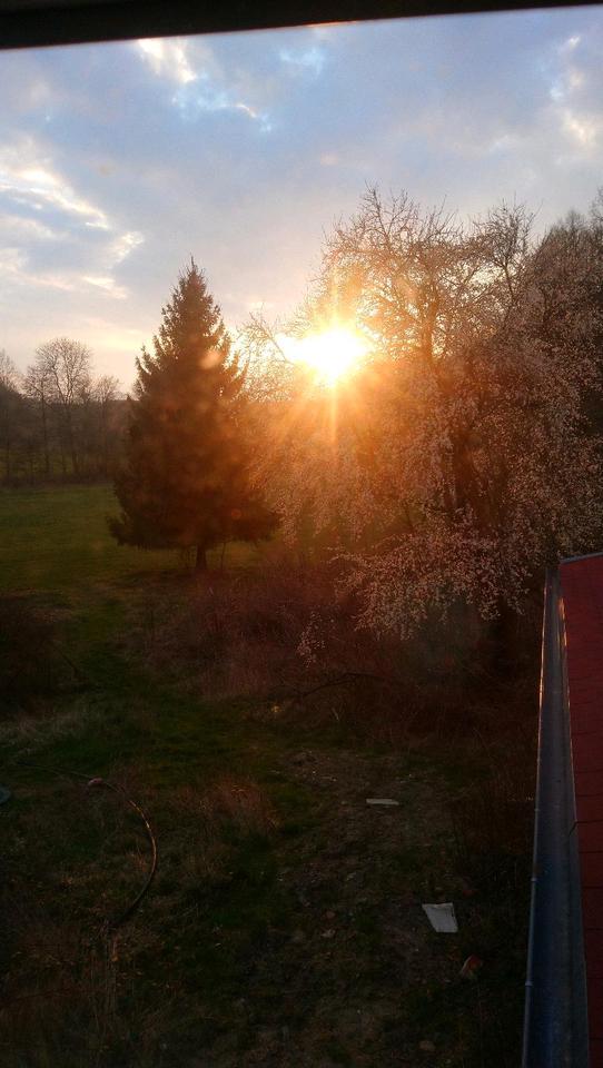 Thumbnail-2 Raum Whg a. .Bauernhof mit Pferdestellplatz Offenstall Platz