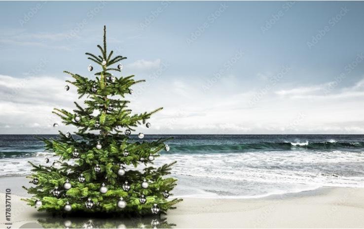 Thumbnail-Weihnachten Ostsee Ferienhaus Ferienwohnung Grömitz