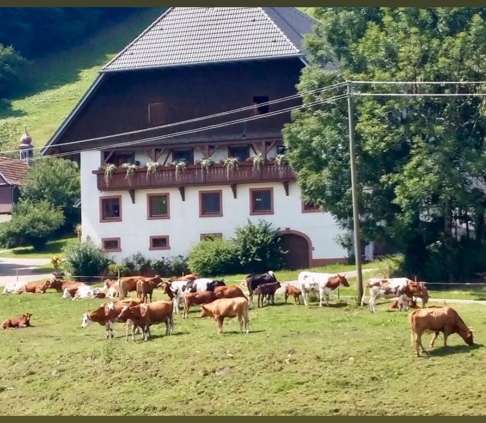 Thumbnail-Ferienwohnung Kandelblick