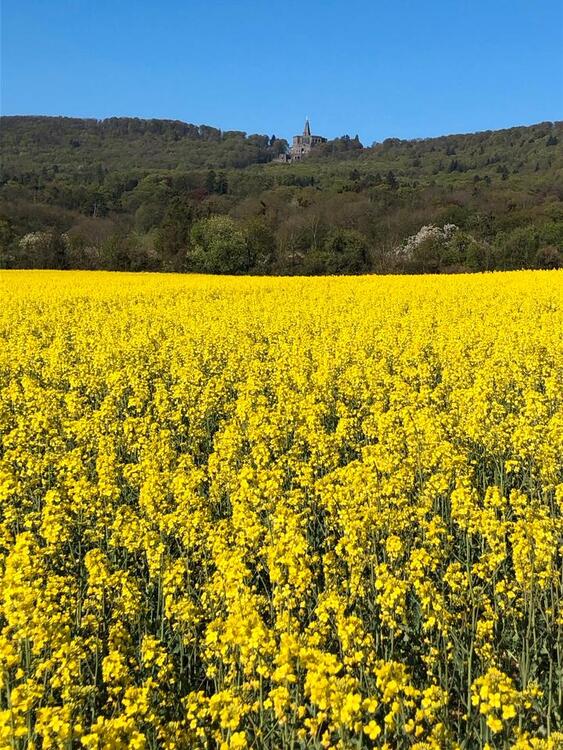 Thumbnail-Ruhiges Zimmer an Wochenendheimfahrer