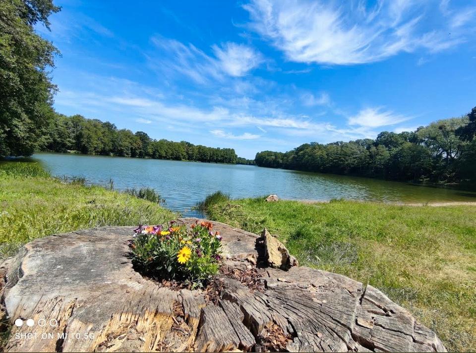 Thumbnail-2 - Zimmer Wohnung in Diedersdorf