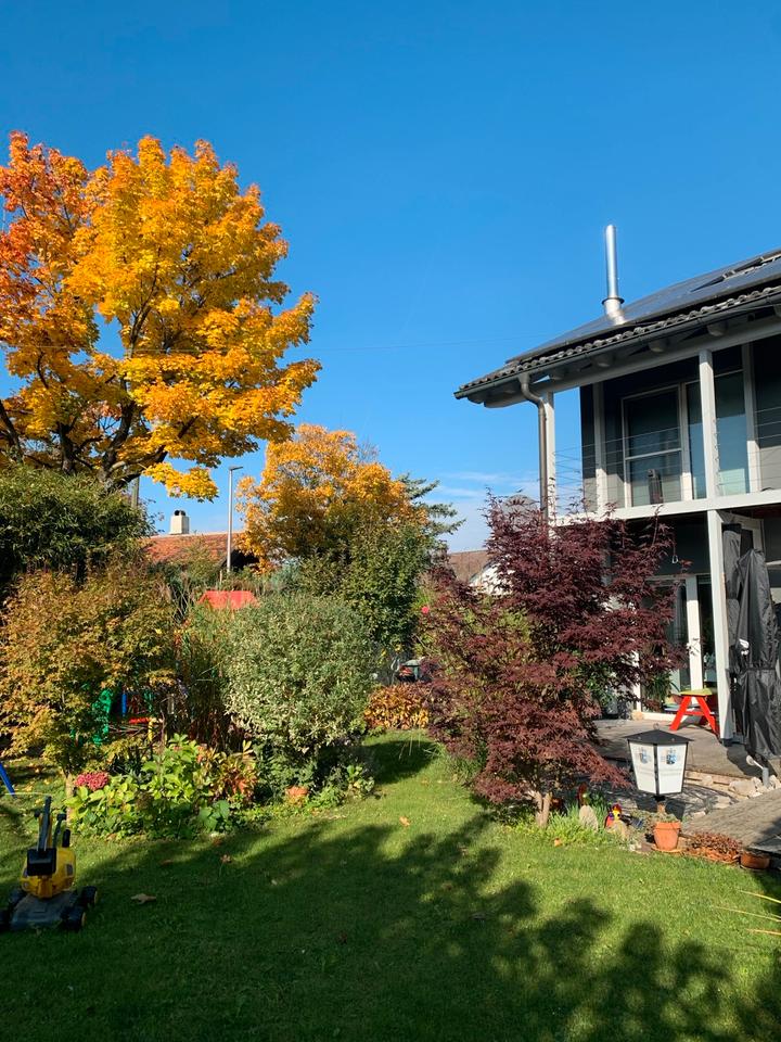 Thumbnail-Provisionsfrei: Energieeffizientes Wohlfühlhaus in Freilassing