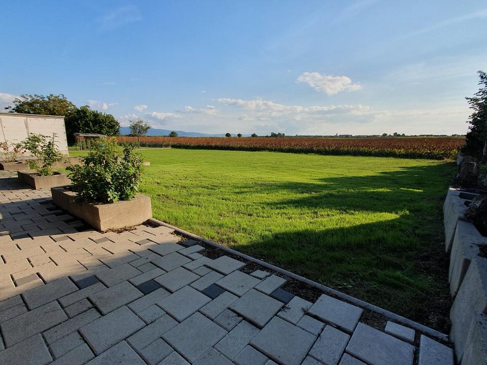 Thumbnail-Einfamilienhaus mit großem Grundstück provisionsfrei zu verkaufen