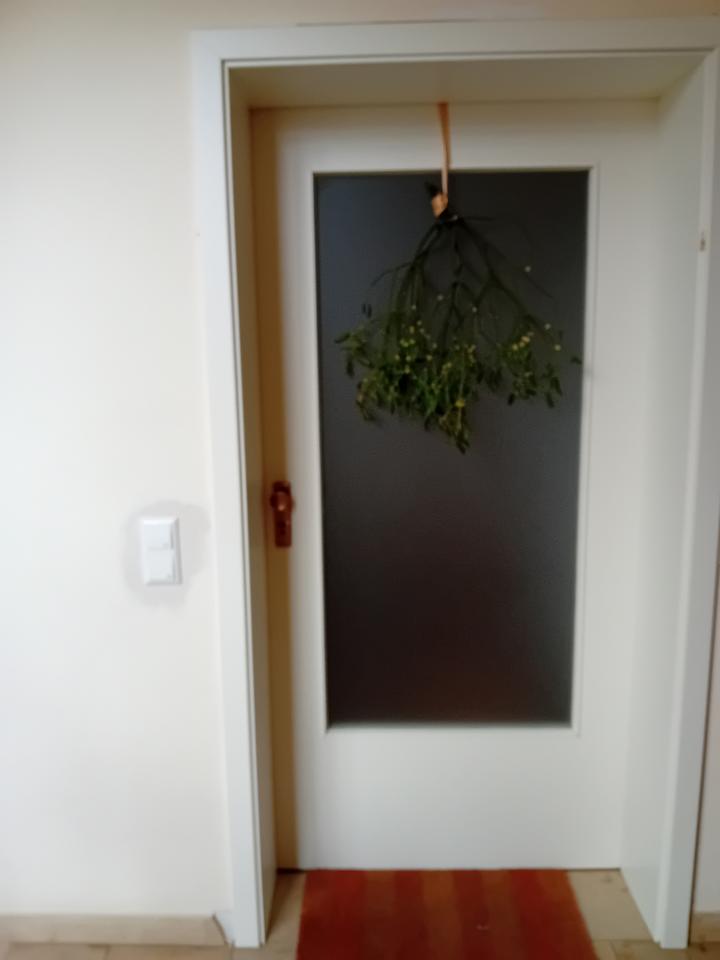 Thumbnail-Schöne 2-Zimmer Wohnung in Müllheim-Niederweiler