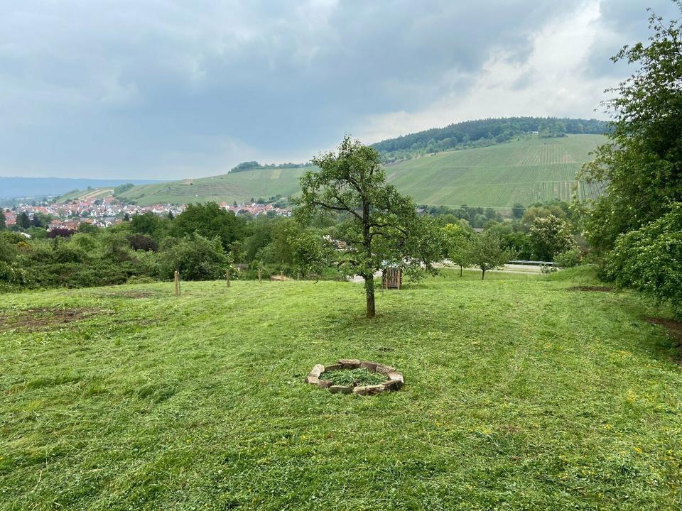 Thumbnail-Vermietung Stückle, Gartengrundstück für Feiern oder Feste mieten
