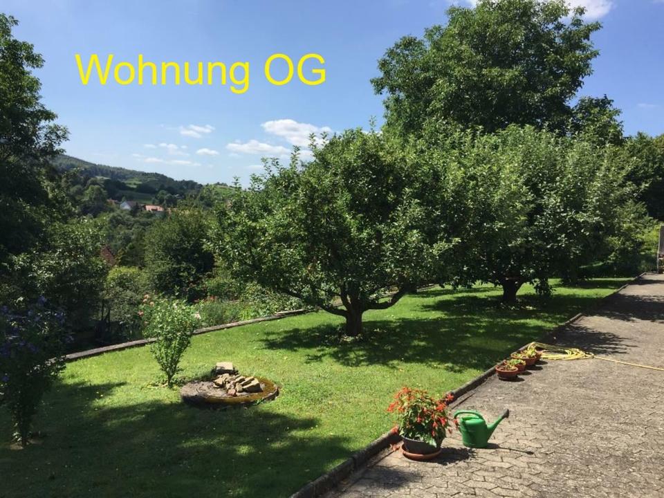 Thumbnail-schöne Wohnung in Spangenberg OG
