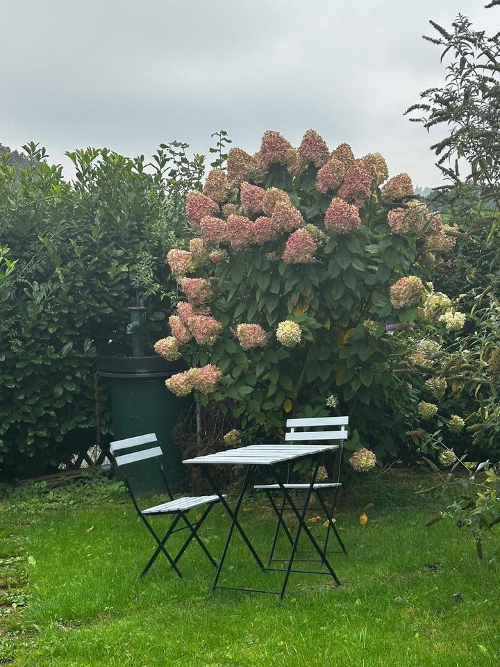 Thumbnail-möblierte Kurzzeitmiete 2 Zi-Wohnung All-in 60 qm Neunkirchen-S.