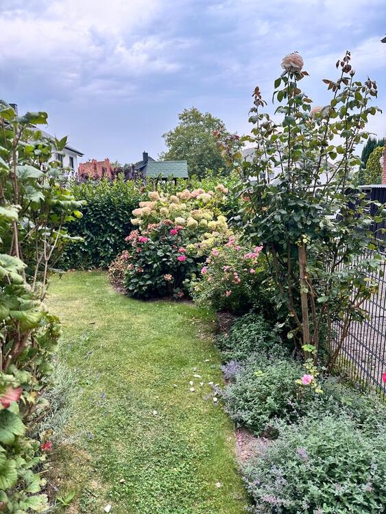 Thumbnail-Moderne 3-Zimmer-Erdgeschosswohnung mit Garten in zentraler Lage