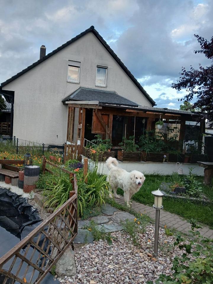 Thumbnail-Einfamilienhaus m. Terrasse, Pool, Doppelgarage, Carport etc.