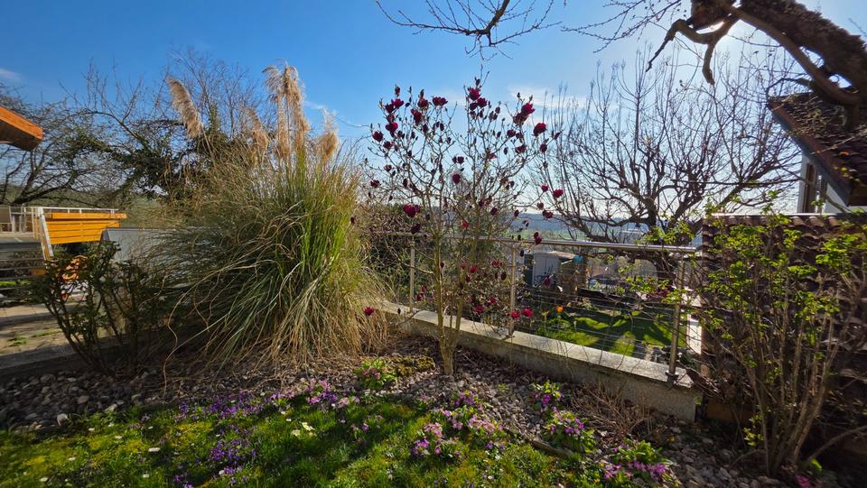 Thumbnail-Hausgefühl, 3-Zi., Terrasse, Garten, neue Küche, Schöner Ausblick