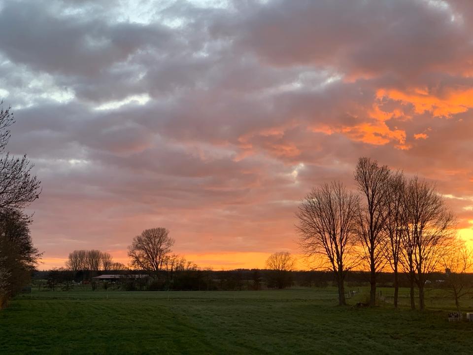 Thumbnail-3,5 Zimmer Wohnung zu vermieten