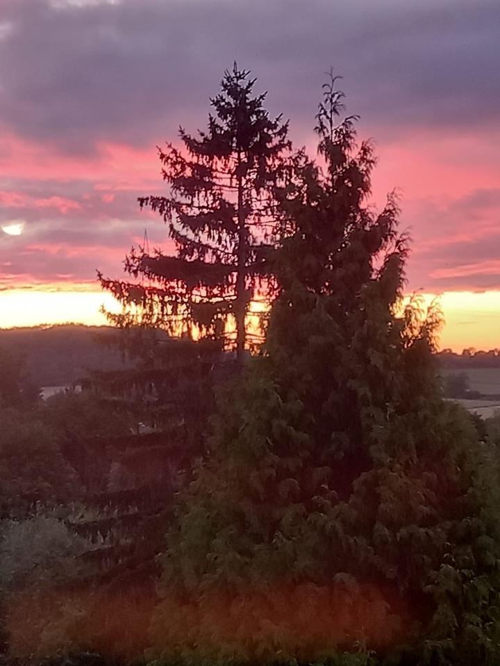 Thumbnail-Zeitvermietung - Uninahe frisch renovierte 2,5 Zimmer Wohnung